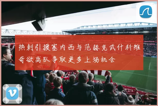 热刺引援塞内西与范赫克武什科维奇欲离队争取更多上场机会