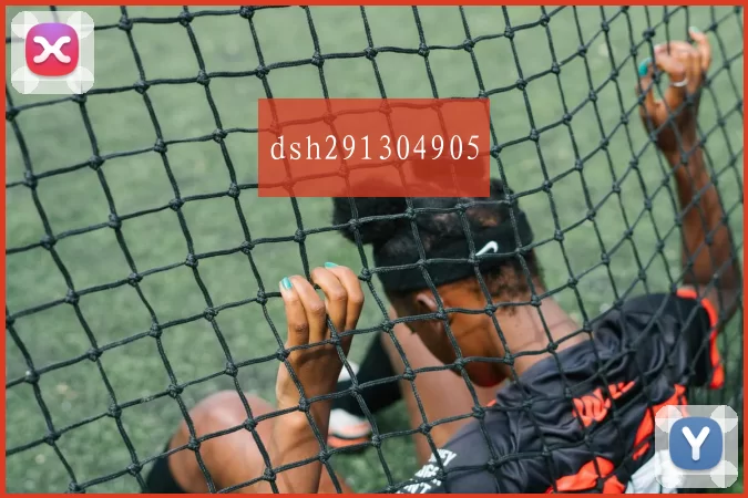 dsh291304905